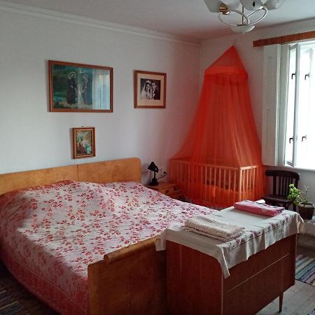 Vinyl House Guest House Strekov Exterior photo