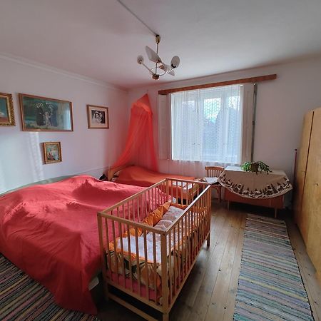 Vinyl House Guest House Strekov Exterior photo