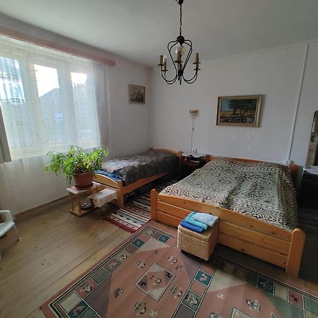 Vinyl House Guest House Strekov Exterior photo