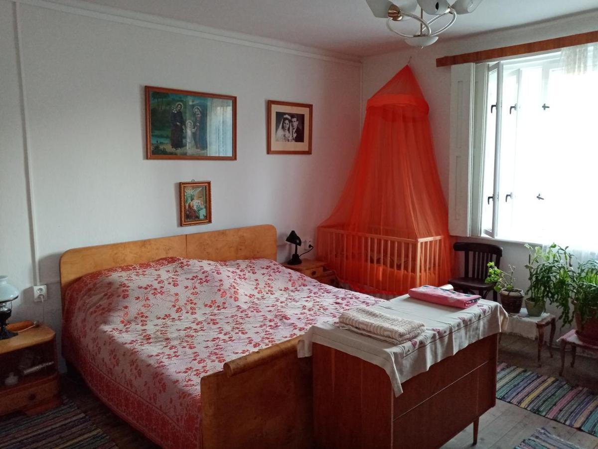 Vinyl House Guest House Strekov Exterior photo