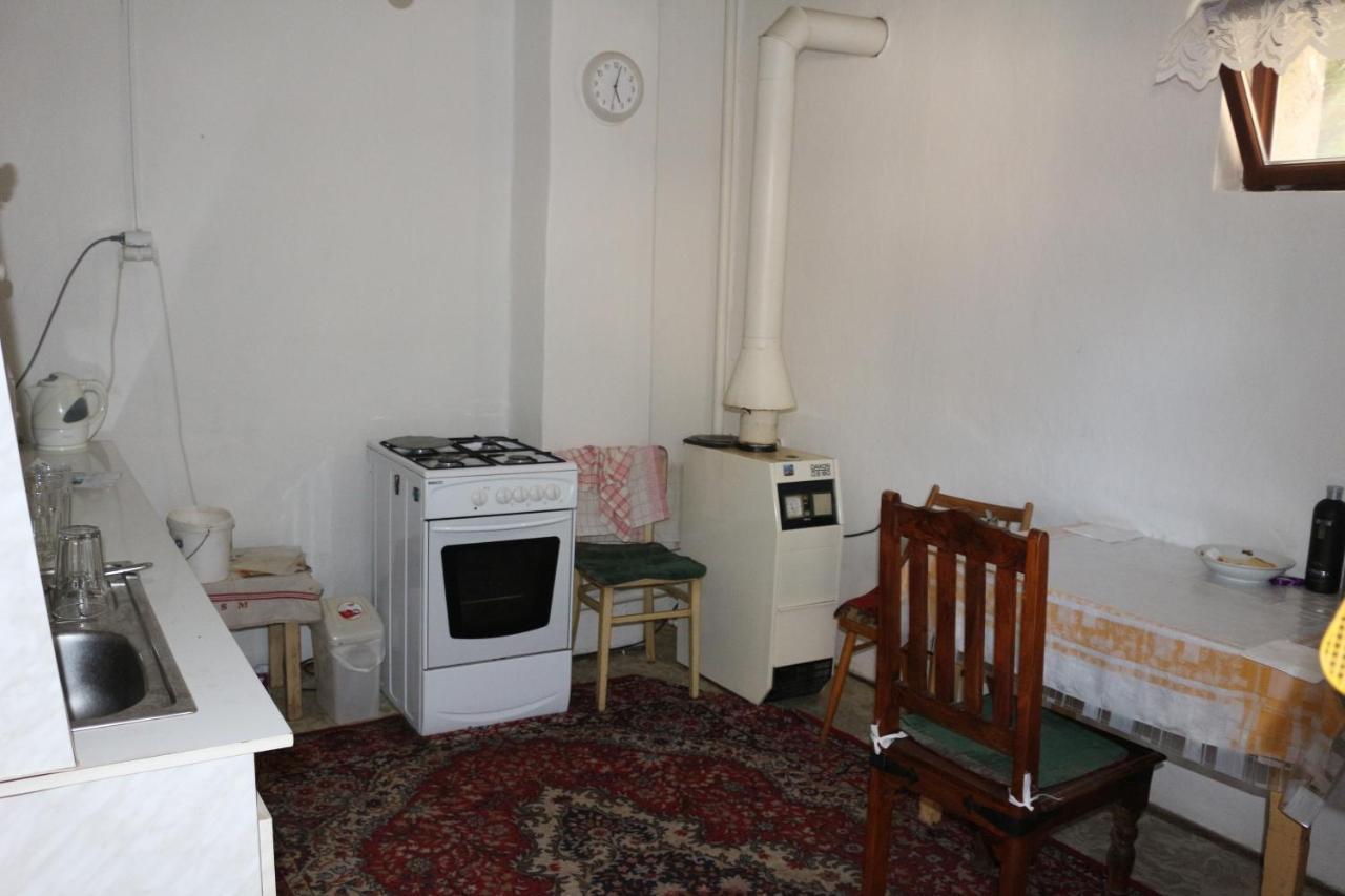 Vinyl House Guest House Strekov Exterior photo