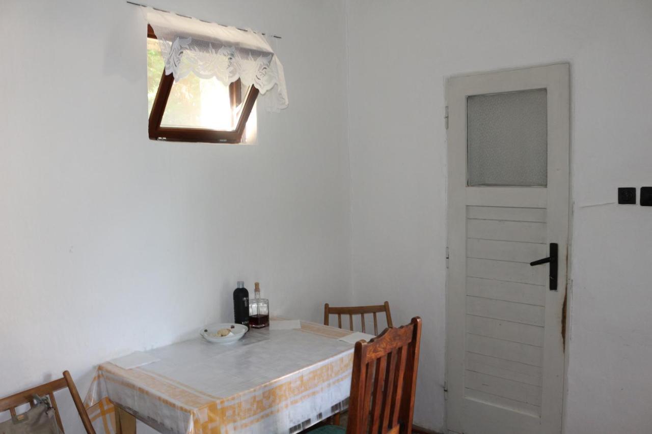 Vinyl House Guest House Strekov Exterior photo