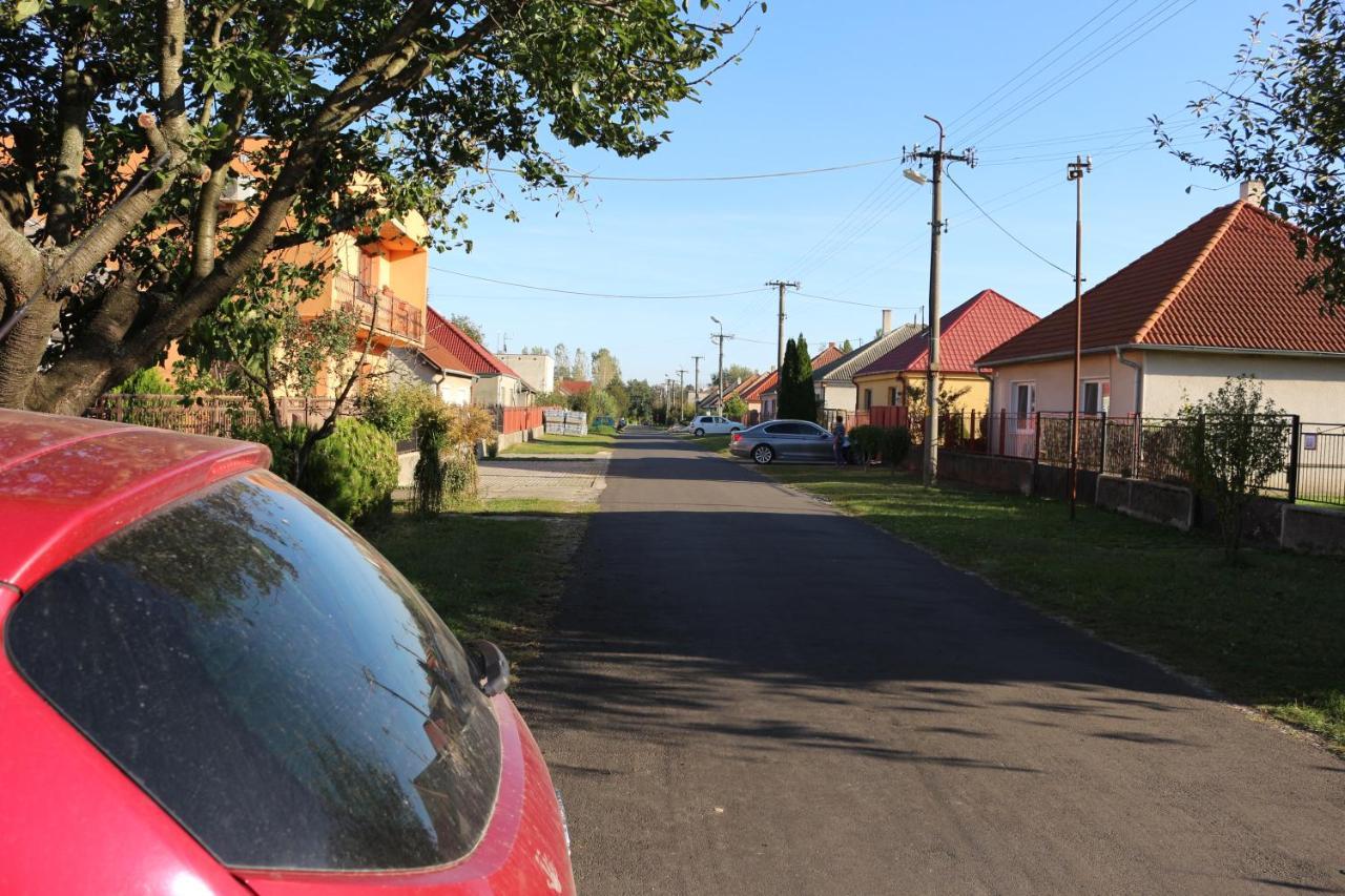 Vinyl House Guest House Strekov Exterior photo